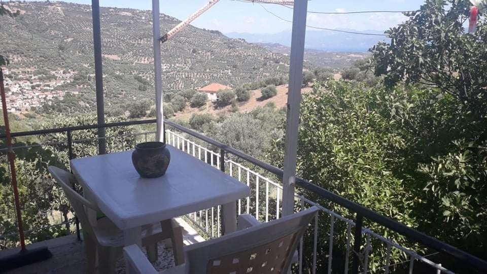 Vacation House Dionysia Villa Éjo Kültér fotó